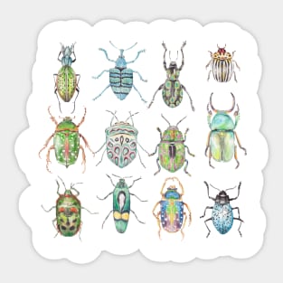 Beetles in Shades of Green Sticker